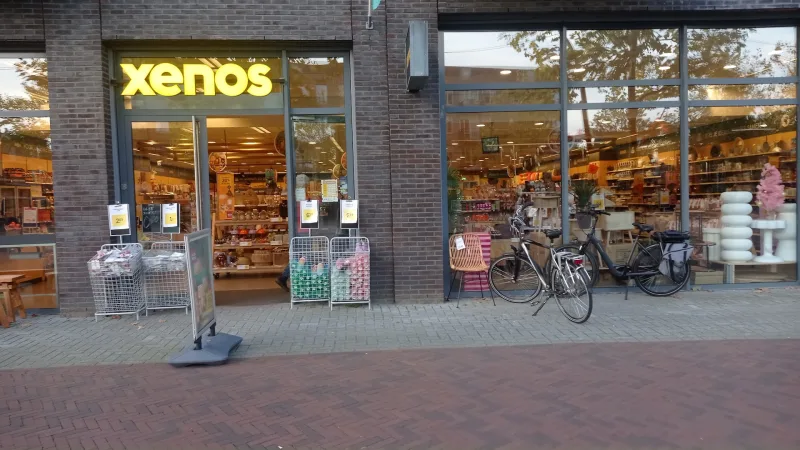 Xenos Hardenberg — foto 2