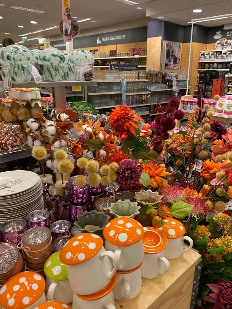 Xenos Hoorn — foto 6