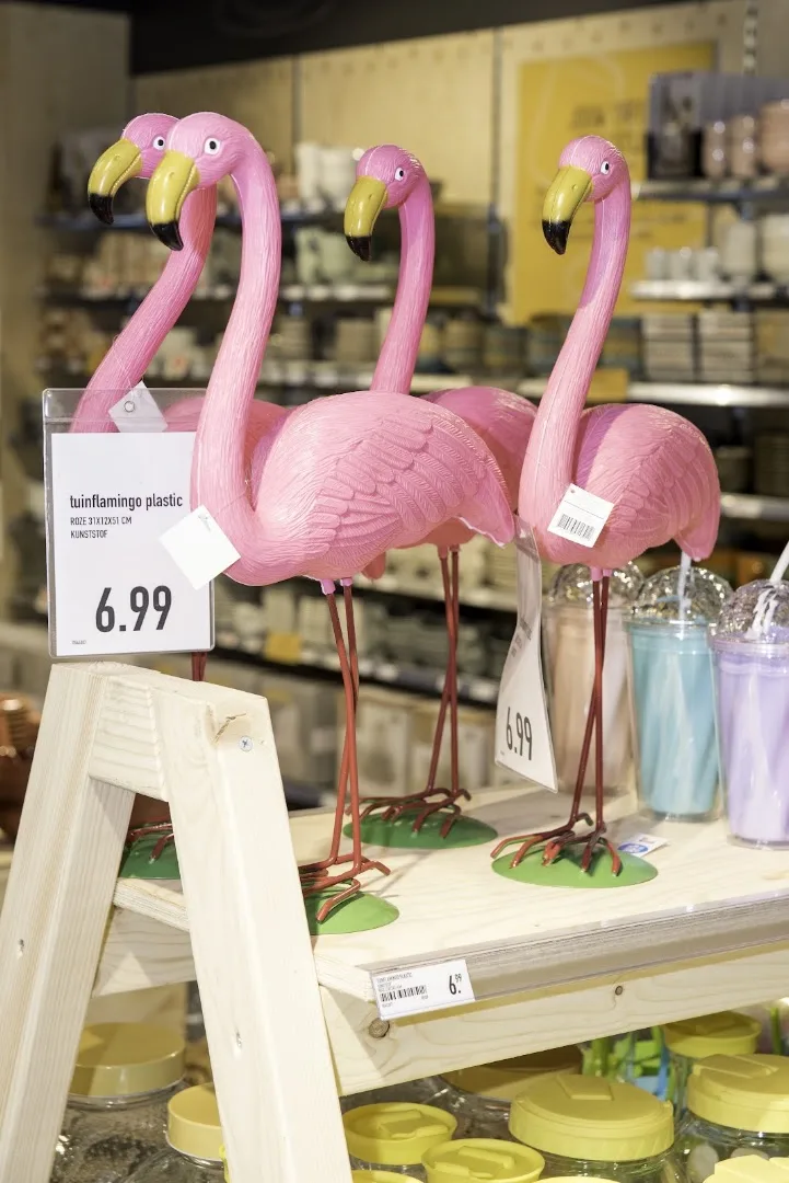Xenos Waalwijk — foto 11